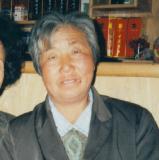 桑樹清