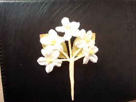 手工絹花