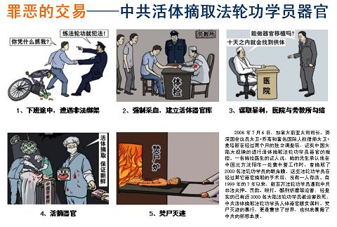 罪惡的交易──中共活體摘取法輪功學員器官