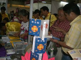 觀眾在法輪功學員的展位了解功法和真相