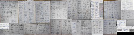 救助李珊珊簽名人數目前已達五百二十八人