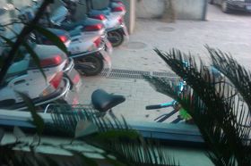 張鳳英自行車