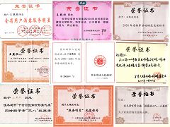 王燕欣在工作期間獲得的部份獎狀
