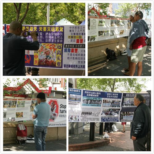 悉尼民眾仔細閱讀真相橫幅