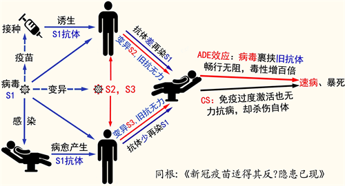 '圖1：武漢肺炎（新冠病毒）的嚴重隱患示意圖（作者繪製）'