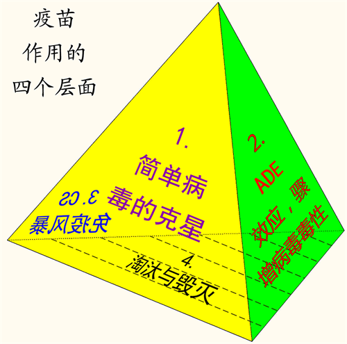 '圖3：疫苗的作用有4個面，猶如一個正四面體（作者提供）。'