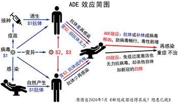 圖6:ADE效應簡要圖示