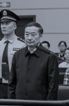 '張祖林受審'